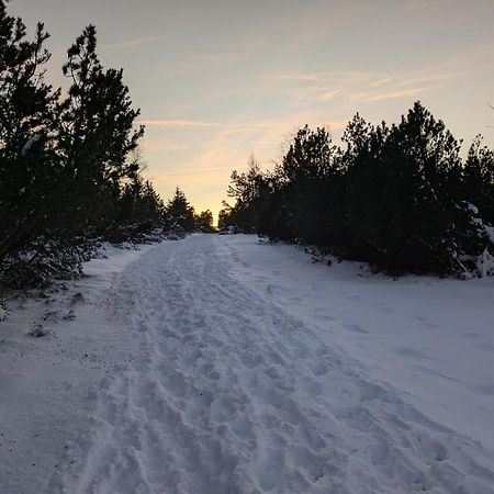 Badischer Neubau-Ruhe-Kunst-Natur رايناو المظهر الخارجي الصورة
