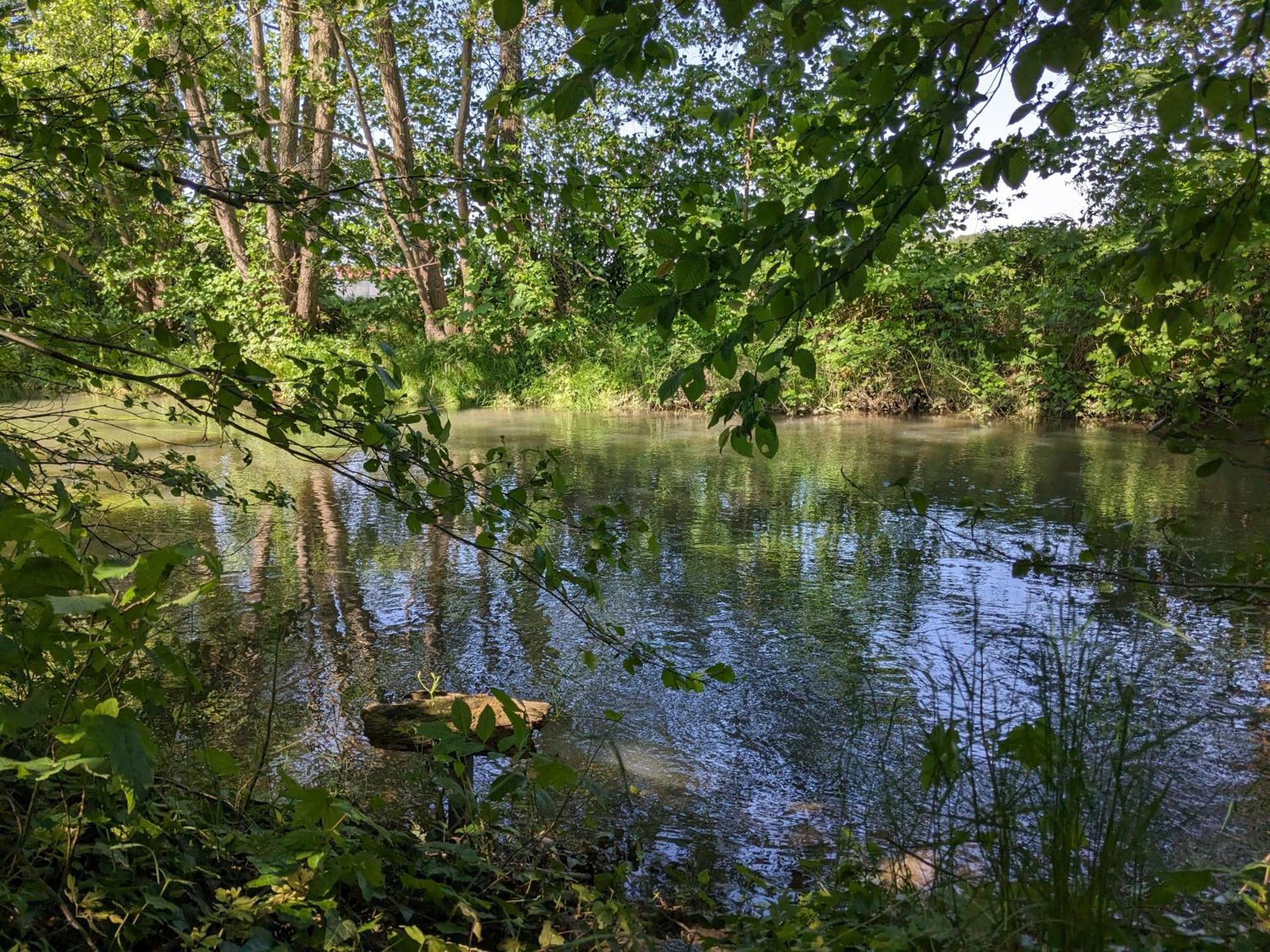 Badischer Neubau-Ruhe-Kunst-Natur رايناو المظهر الخارجي الصورة